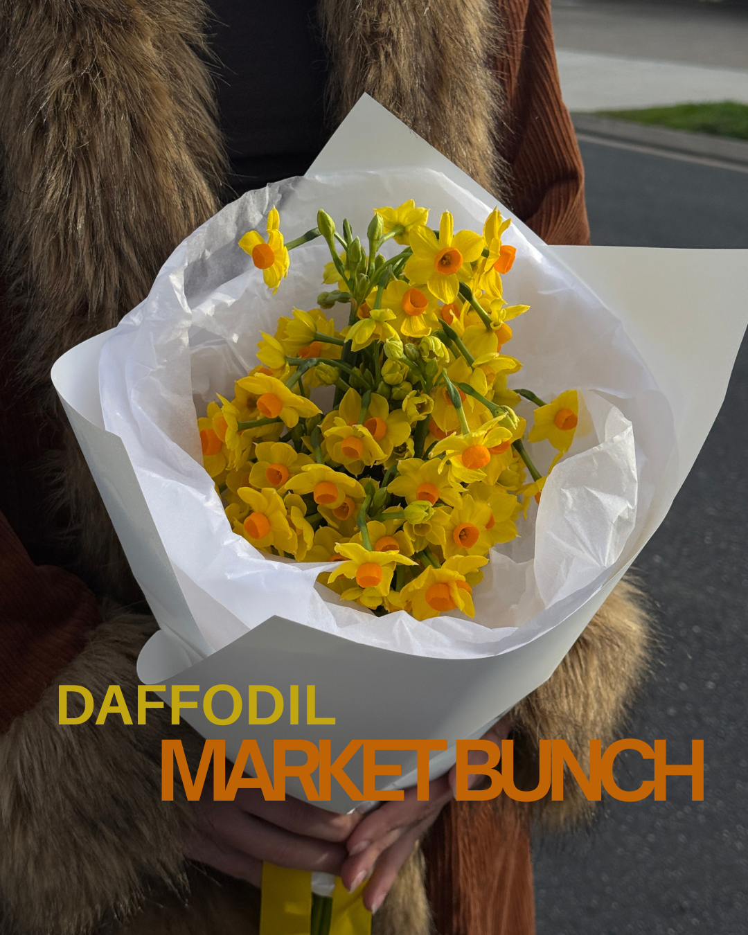 Daffodil Market Bunch