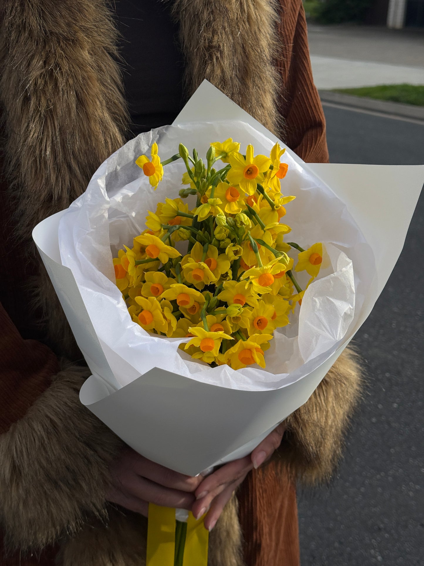 Daffodil Market Bunch